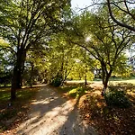 Western Premier Le Domaine De Montjoie Szálloda Ramonville-Saint-Agne
