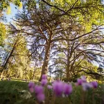 Western Premier Le Domaine De Montjoie Отель Рамонвиль-Сент-Ань