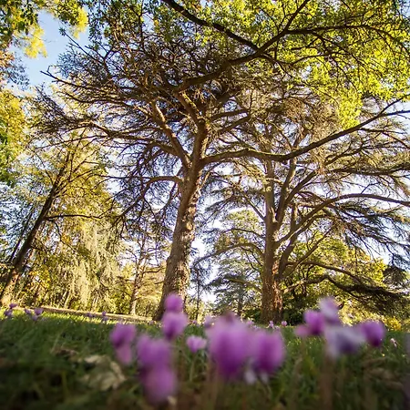 Western Premier Le Domaine De Montjoie Hotel Ramonville-Saint-Agne