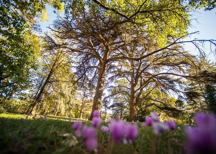 فندق Western Premier Le Domaine De Montjoie 4*